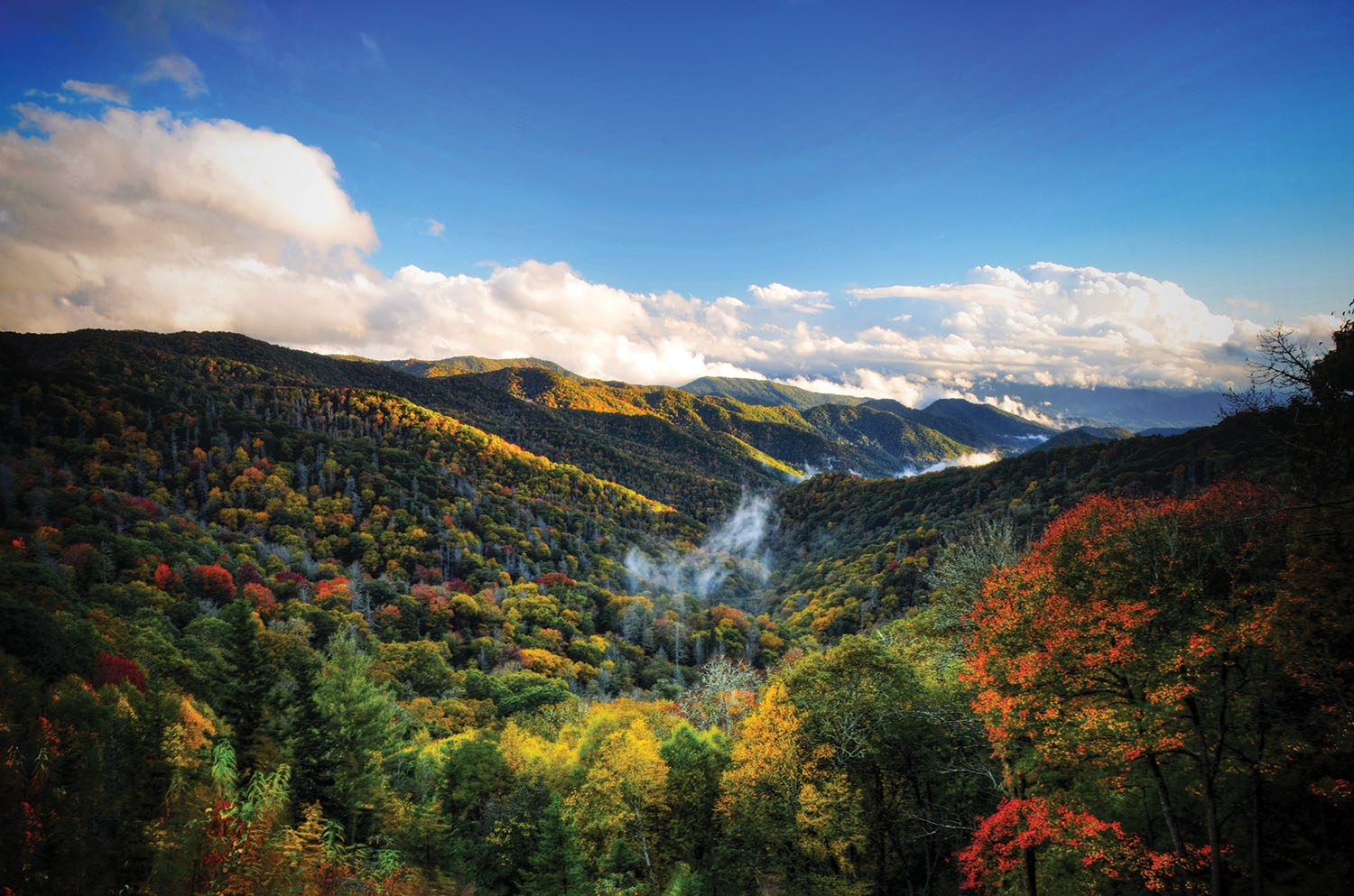 Secrets-Of-North-Carolina8217s-Misty-Mountain-Balds secrets-of-north-carolinas-misty-mountain-balds