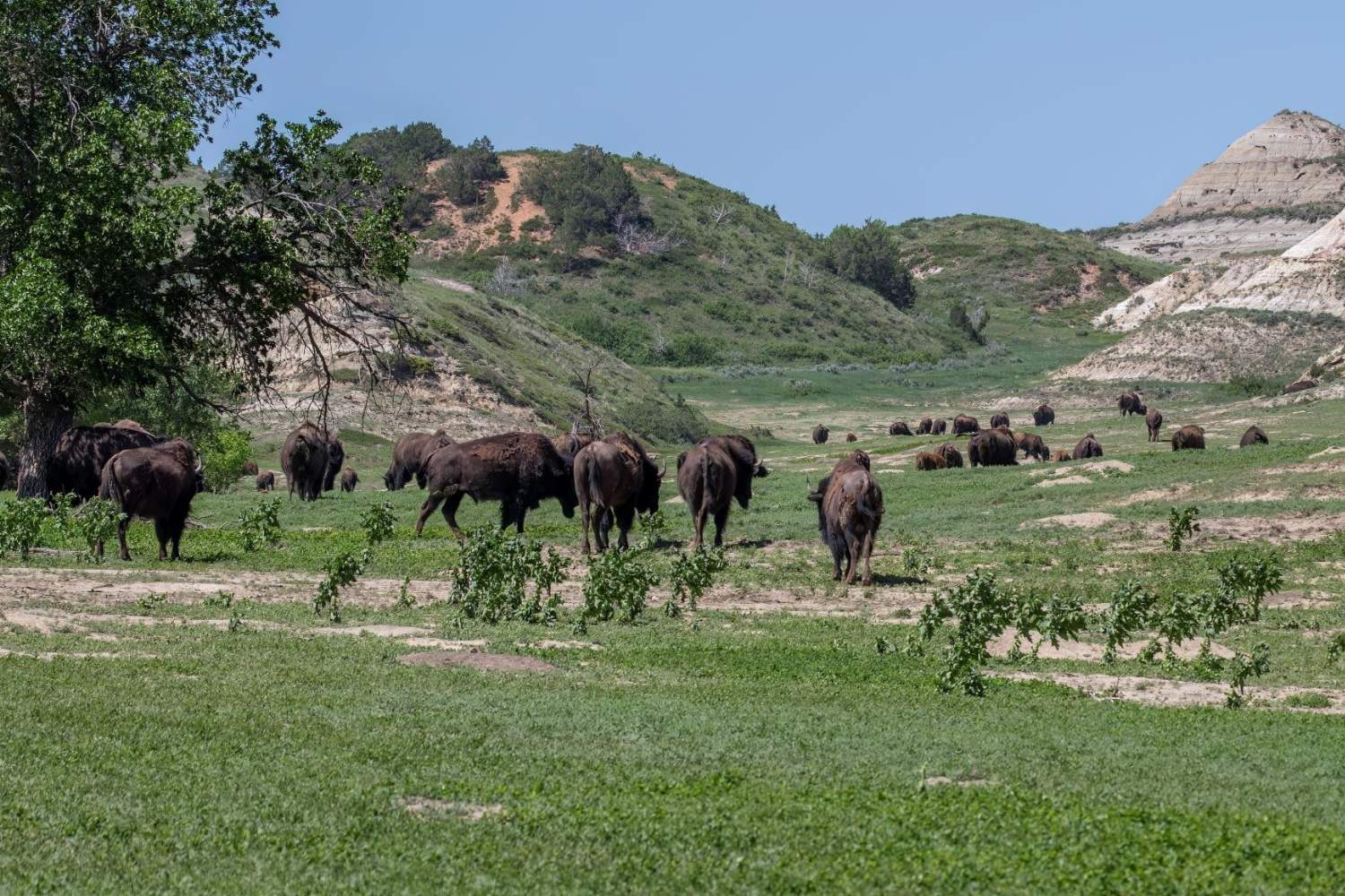 secrets-of-north-dakotas-chase-lake-wildlife-refuge-potholes