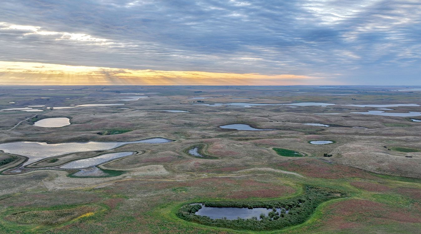 Secrets-Of-North-Dakota8217s-Ice-Age-Prairie-Potholes secrets-of-north-dakotas-ice-age-prairie-potholes