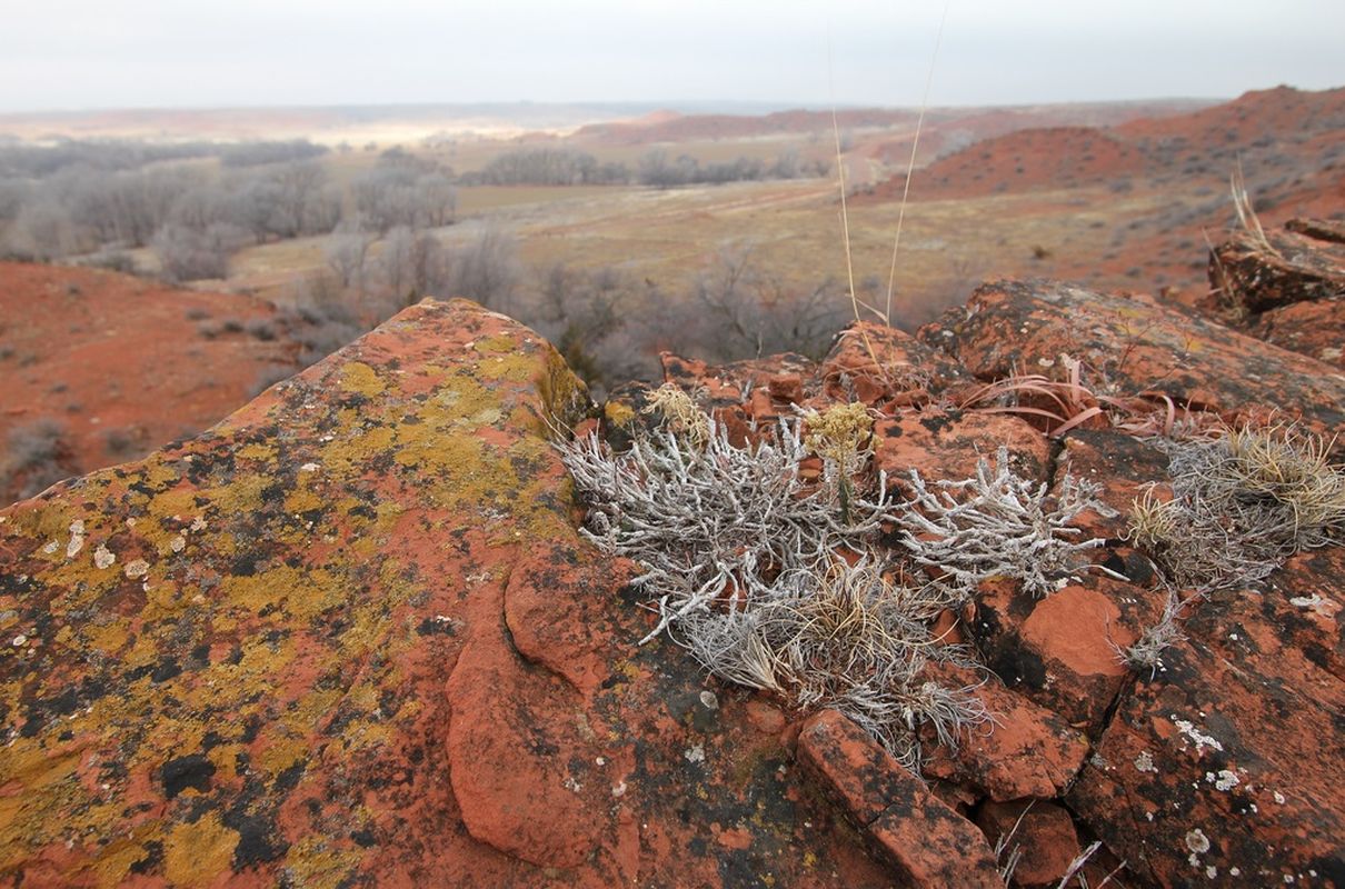 secrets-of-oklahomas-black-kettle-grasslands