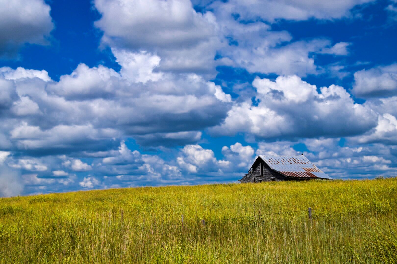 Secrets-Of-Oklahoma8217s-Tallgrass-Prairie-At-Moonlit-Forest-Dancing-Grounds secrets-of-oklahomas-tallgrass-prairie-at-moonlit-forest-dancing-grounds