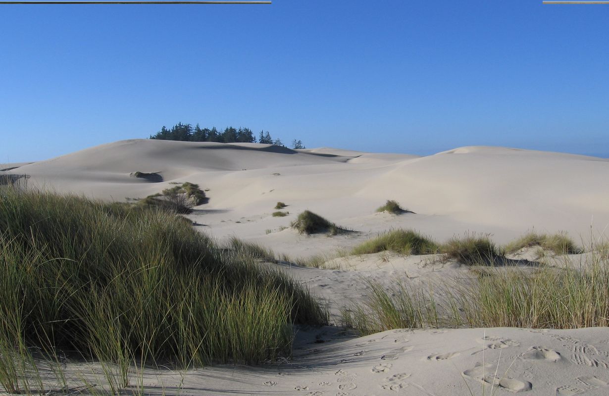 secrets-of-oregons-alabaster-coastal-dunes