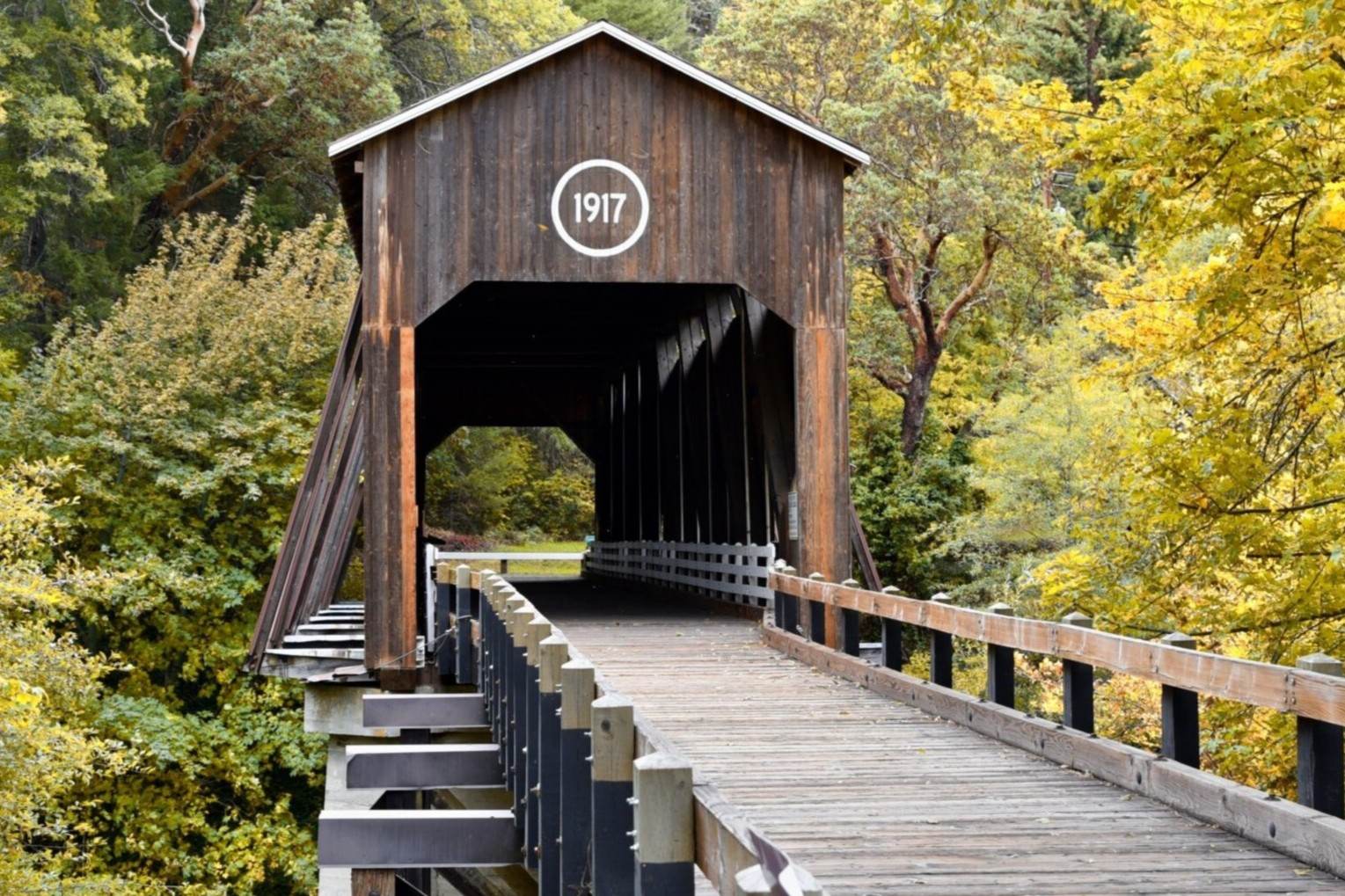 Secrets-Of-Oregon8217s-Applegate-Valley-Herb-Collectives secrets-of-oregons-applegate-valley-herb-collectives
