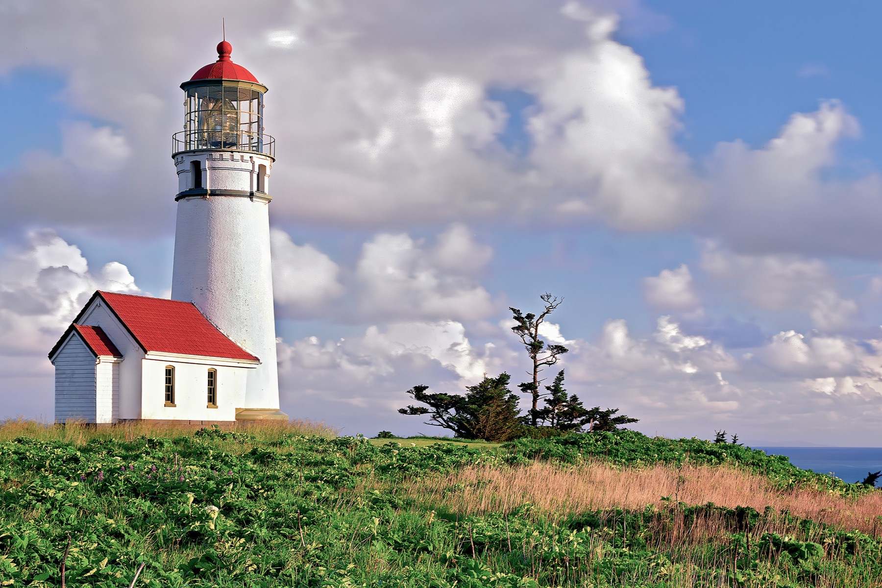 secrets-of-oregons-cape-blanco-marine-terraces