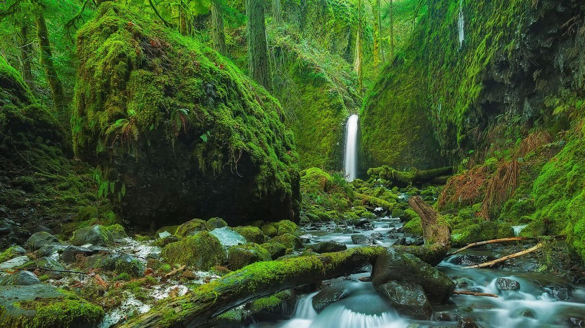 secrets-of-oregons-columbia-river-gorge-waterfall-grottos