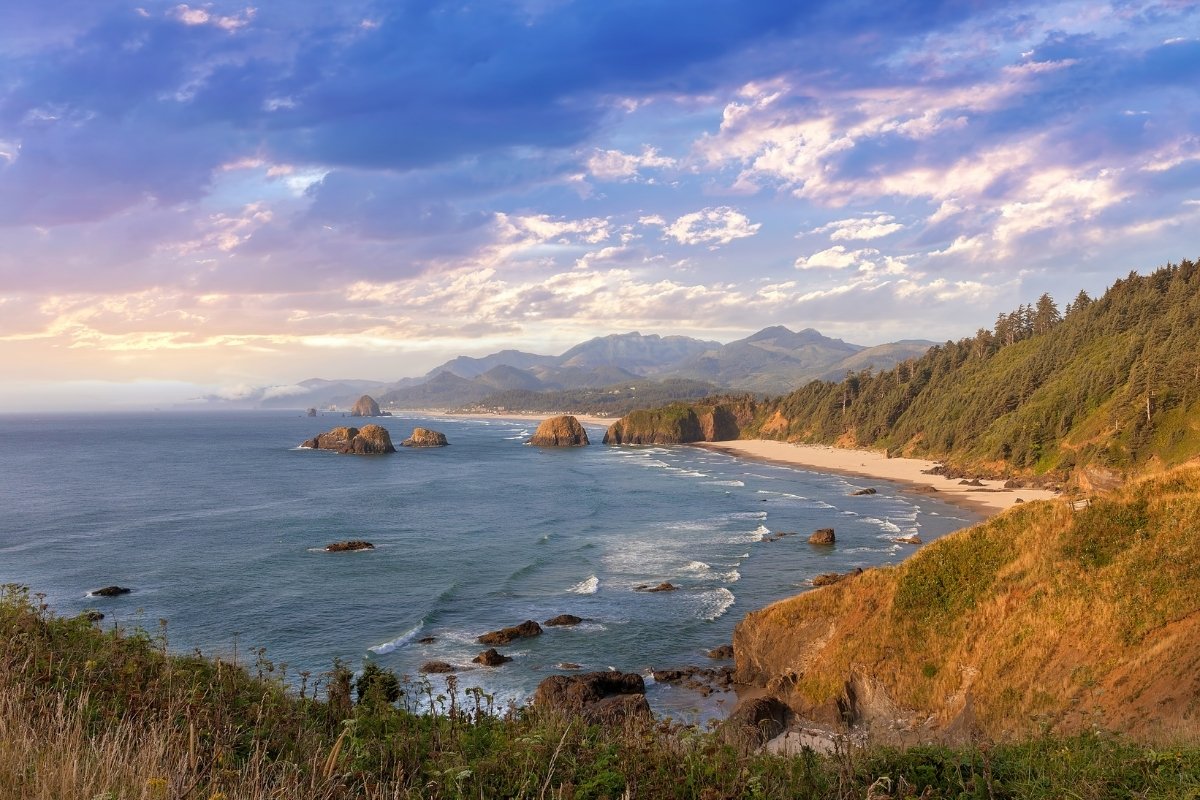 Secrets-Of-Oregon8217s-Ecola-State-Park-Cedars secrets-of-oregons-ecola-state-park-cedars