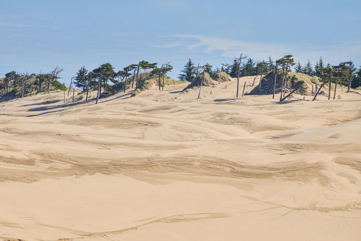secrets-of-oregons-florence-coastal-dunes