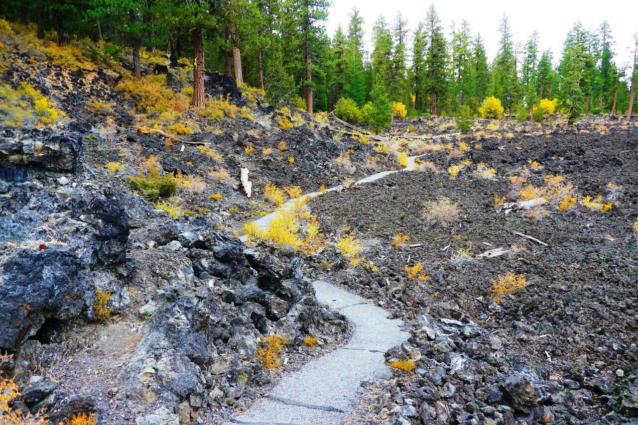 secrets-of-oregons-mossy-volcanic-fields