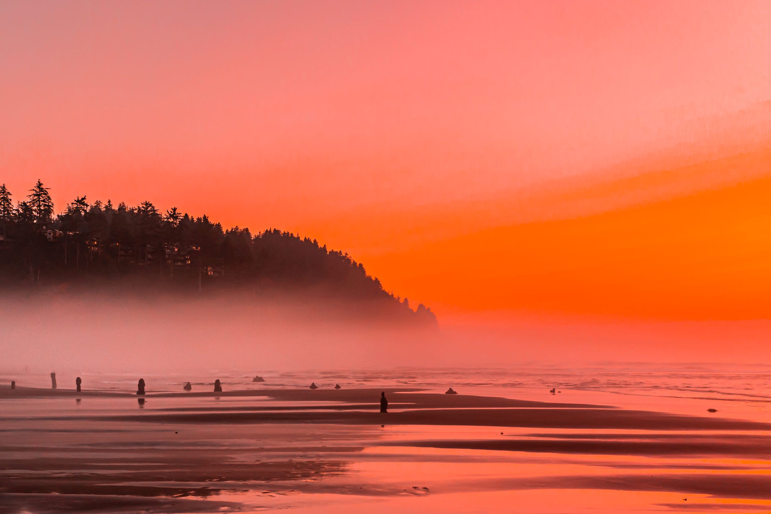 Secrets-Of-Oregon8217s-Neskowin-Beach-Ghost-Forest-Tidal-Flats secrets-of-oregons-neskowin-beach-ghost-forest-tidal-flats