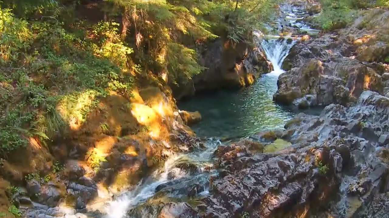 secrets-of-oregons-opal-creek-wilderness