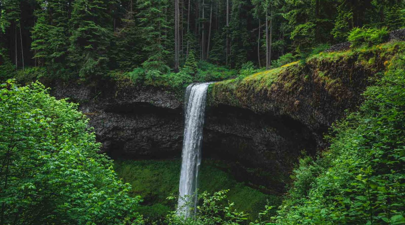 Secrets-Of-Oregon8217s-Silver-Falls-At-Night secrets-of-oregons-silver-falls-at-night