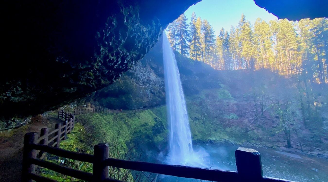 Secrets-Of-Oregon8217s-Silver-Falls-Fern-Canyons secrets-of-oregons-silver-falls-fern-canyons