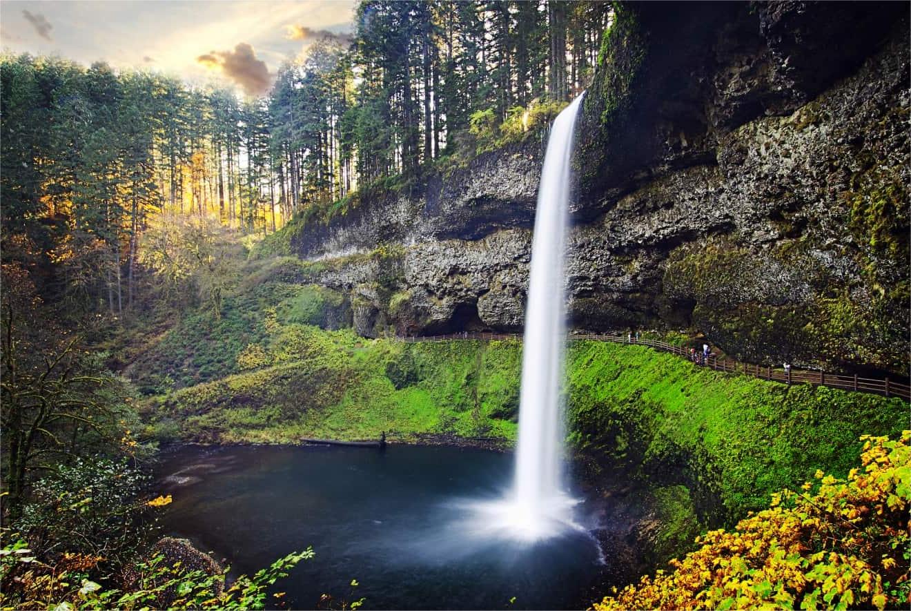 Secrets-Of-Oregon8217s-Silver-Falls-State-Park-Groves secrets-of-oregons-silver-falls-state-park-groves
