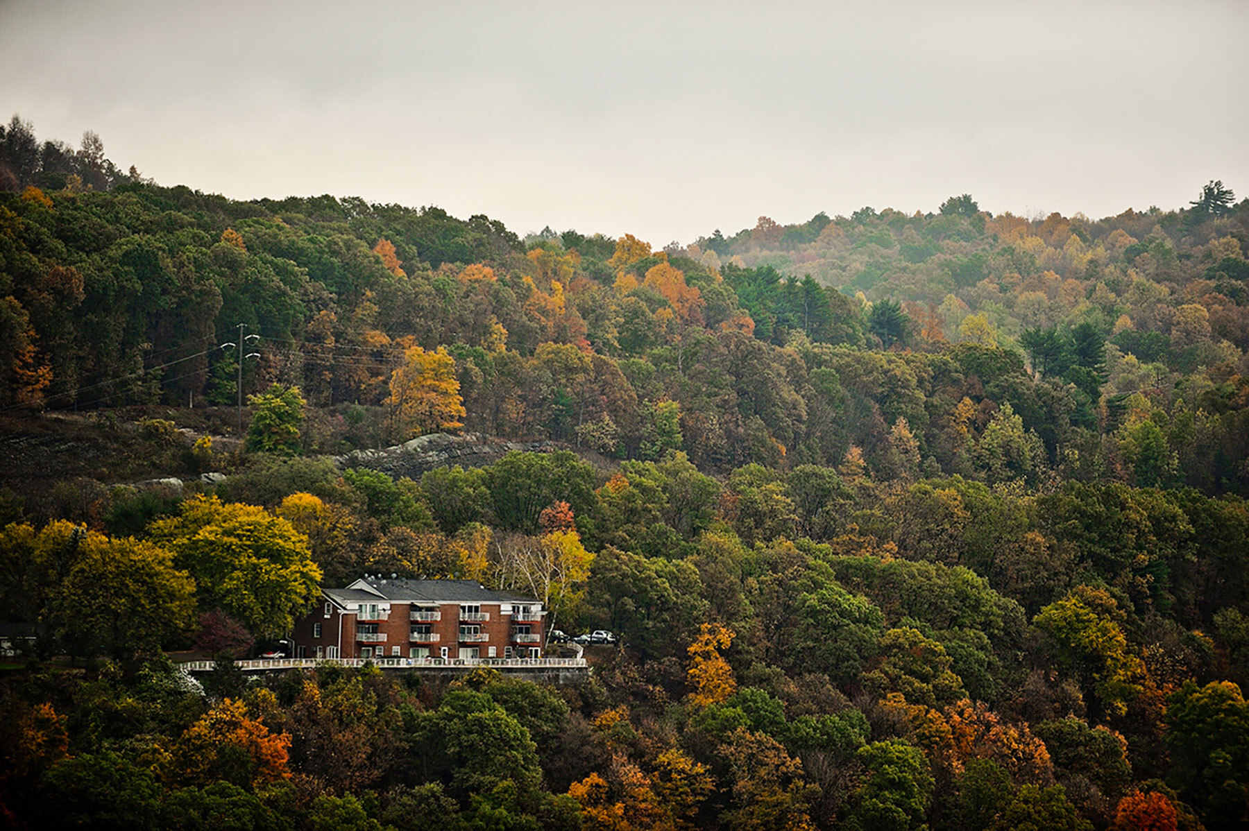 Secrets-Of-Pennsylvania8217s-Amber-Lit-Forest-Glens secrets-of-pennsylvanias-amber-lit-forest-glens