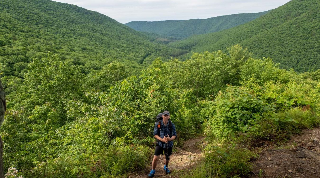 secrets-of-pennsylvanias-black-forest-glens