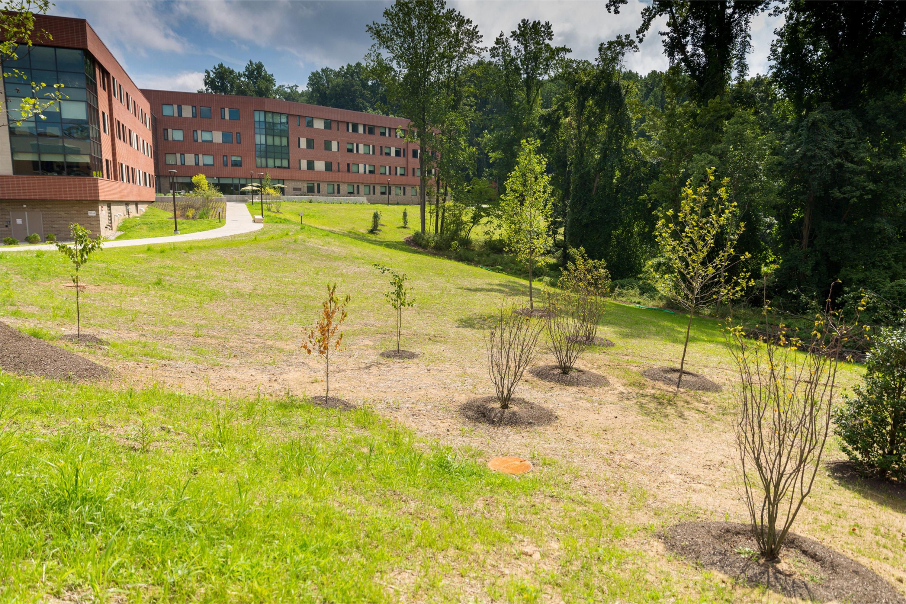 secrets-of-pennsylvanias-brandywine-valley-orchards