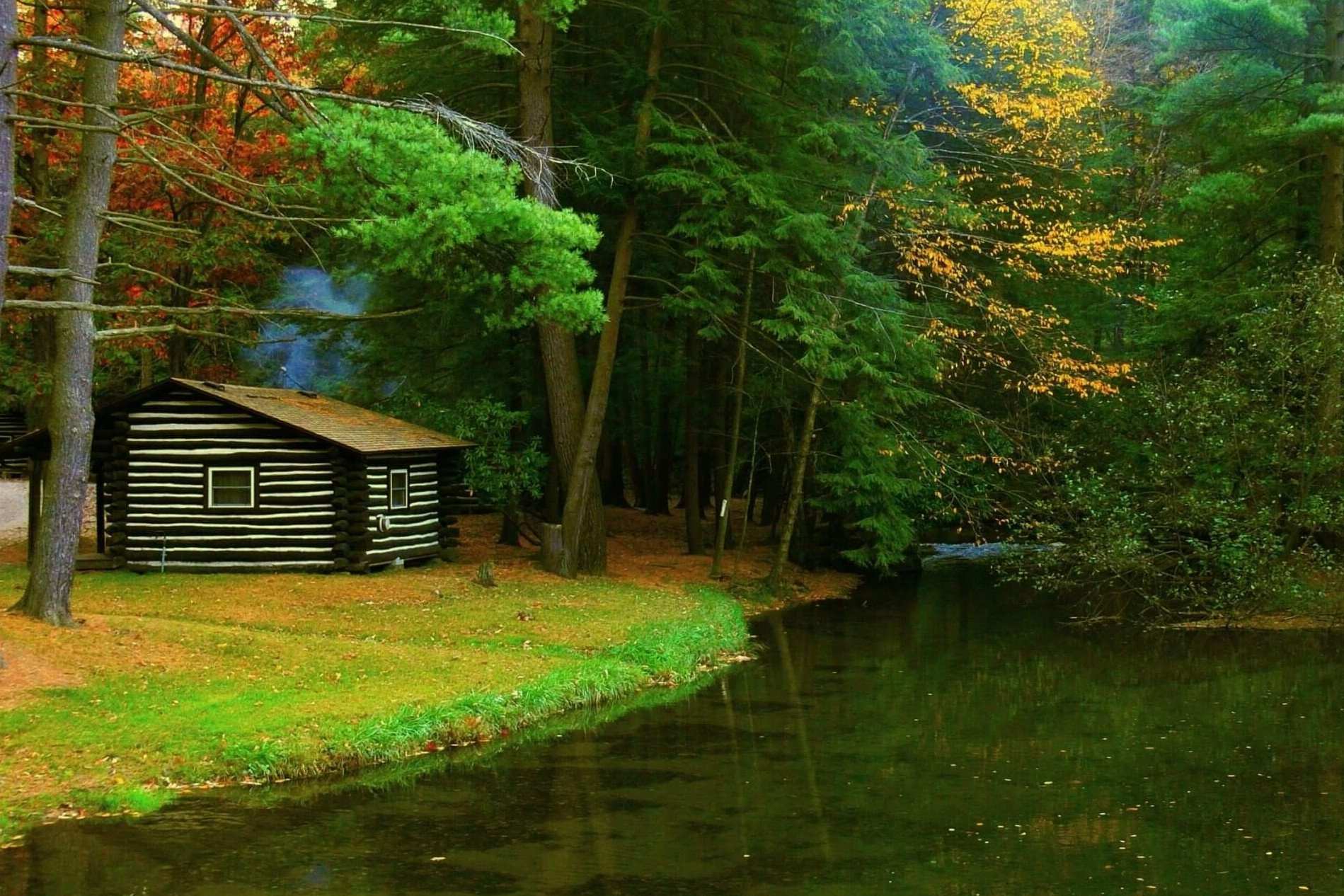Secrets-Of-Pennsylvania8217s-Cook-Forest-Hemlock-Ravines secrets-of-pennsylvanias-cook-forest-hemlock-ravines