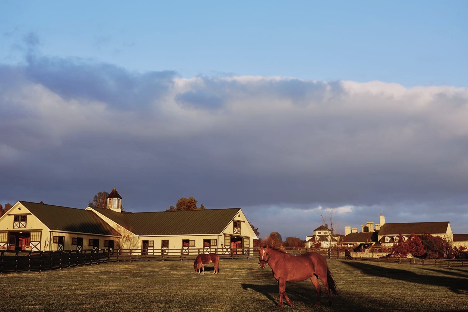 secrets-of-piedmont-vineyards-in-virginias-horse-country