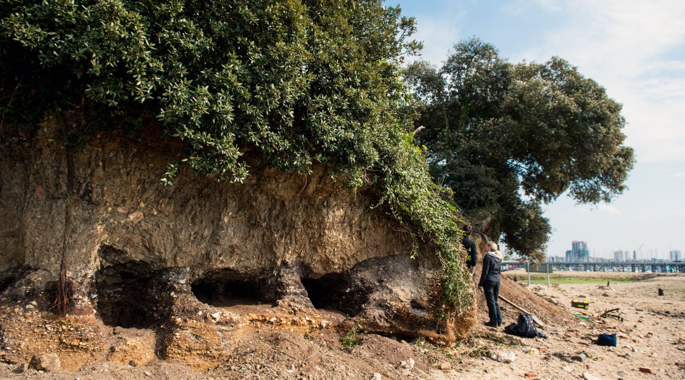 secrets-of-portsmouth-islands-wildlife