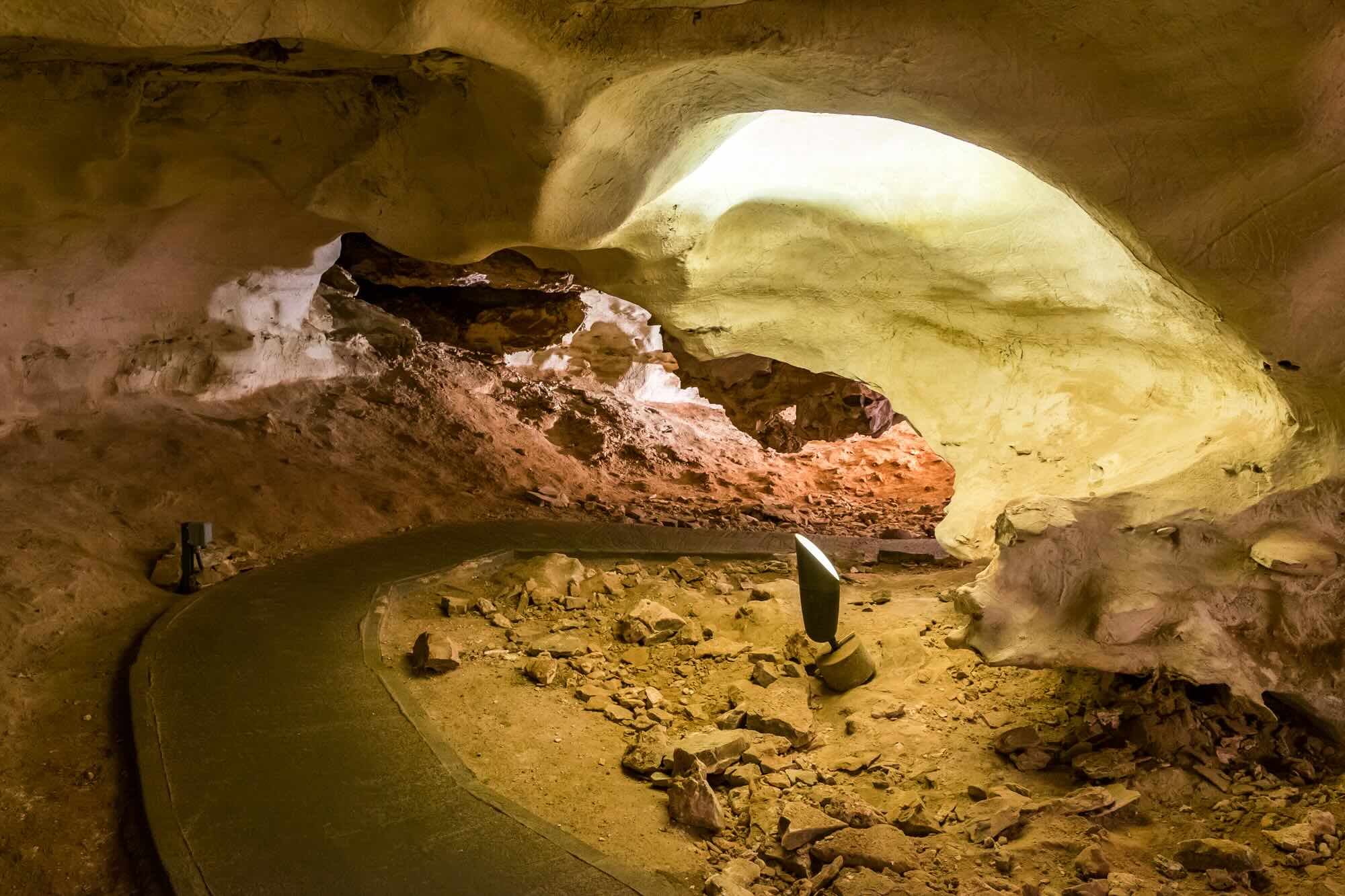 secrets-of-prairie-dog-towns-in-south-dakotas-wind-cave-national-park