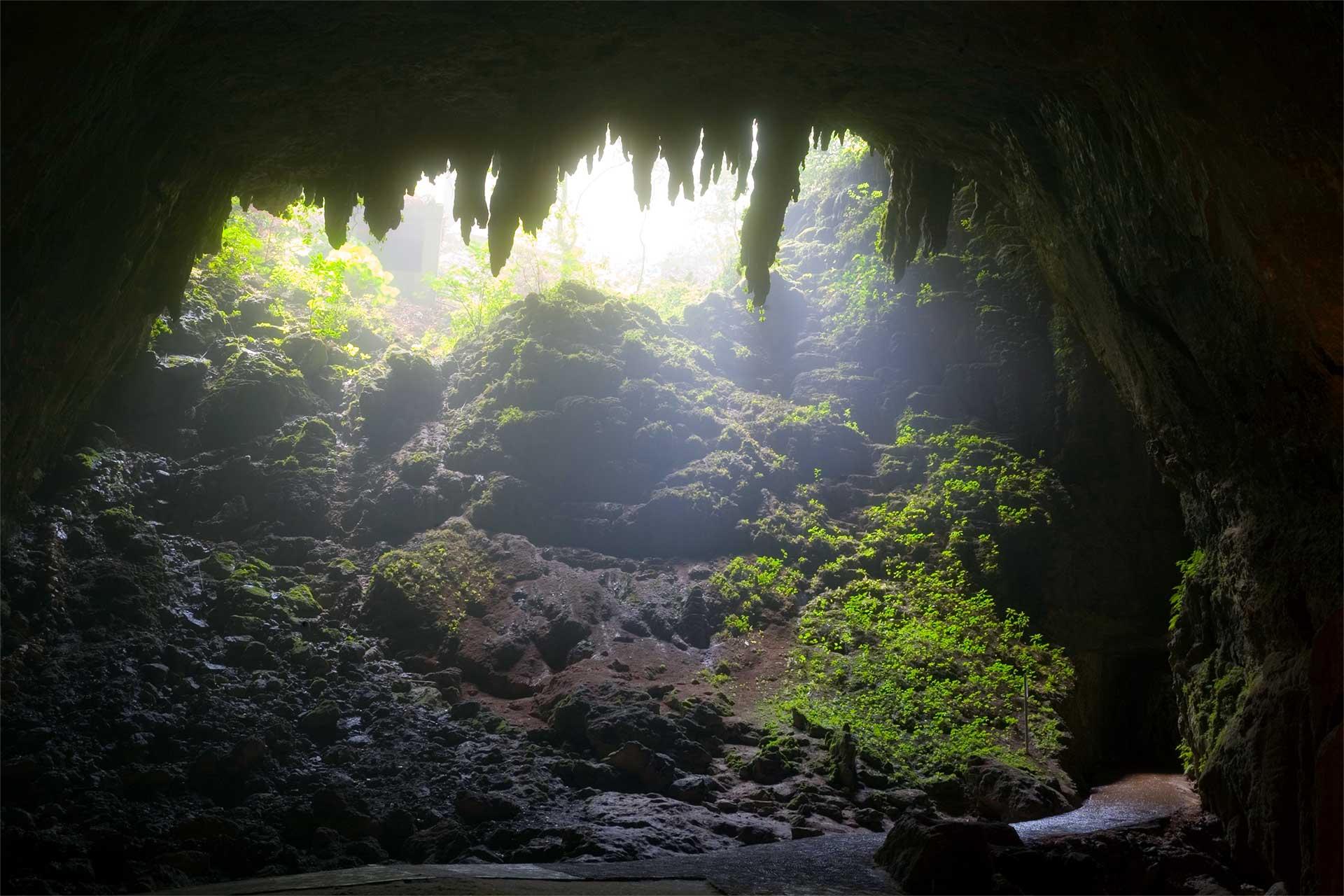 secrets-of-puerto-ricos-rio-camuy-rivers