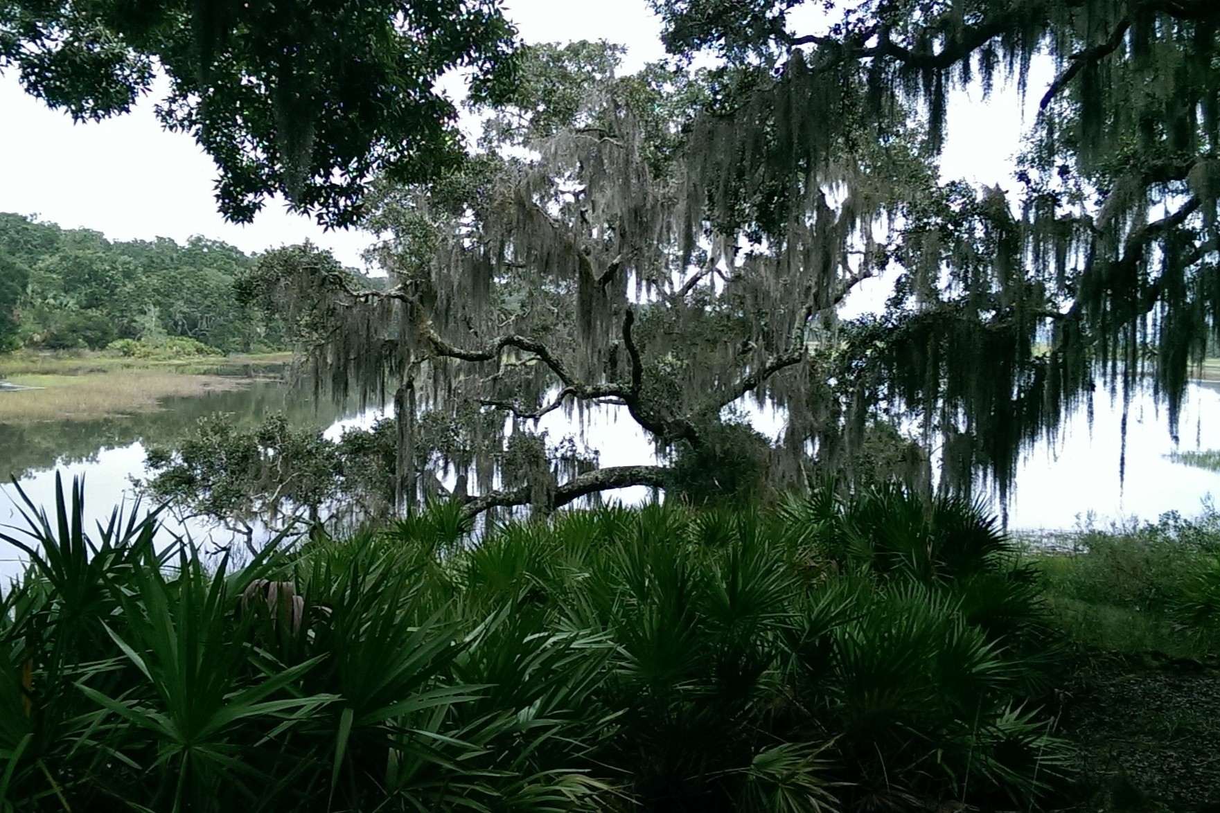 secrets-of-saint-catherines-islands-ancient-shell-middens