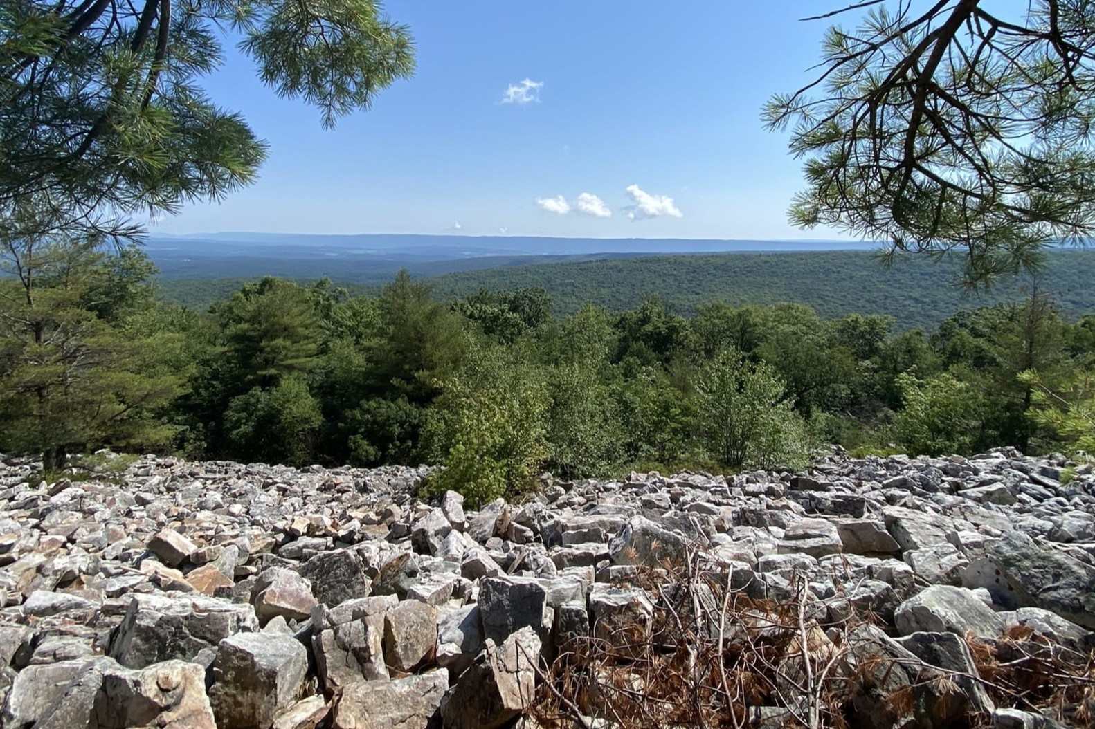 secrets-of-salamander-pools-in-pennsylvanias-rothrock-state-forest