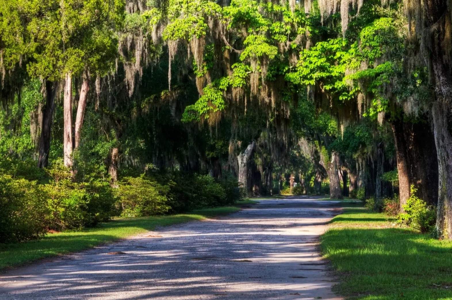 Secrets-Of-Savannah8217s-Moss-Draped-Colonial-Cemeteries secrets-of-savannahs-moss-draped-colonial-cemeteries