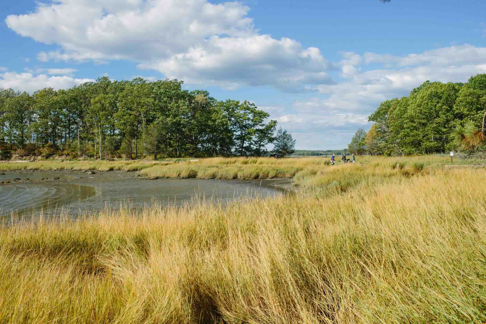 secrets-of-south-carolinas-ace-basin-tidal-salt-marshes