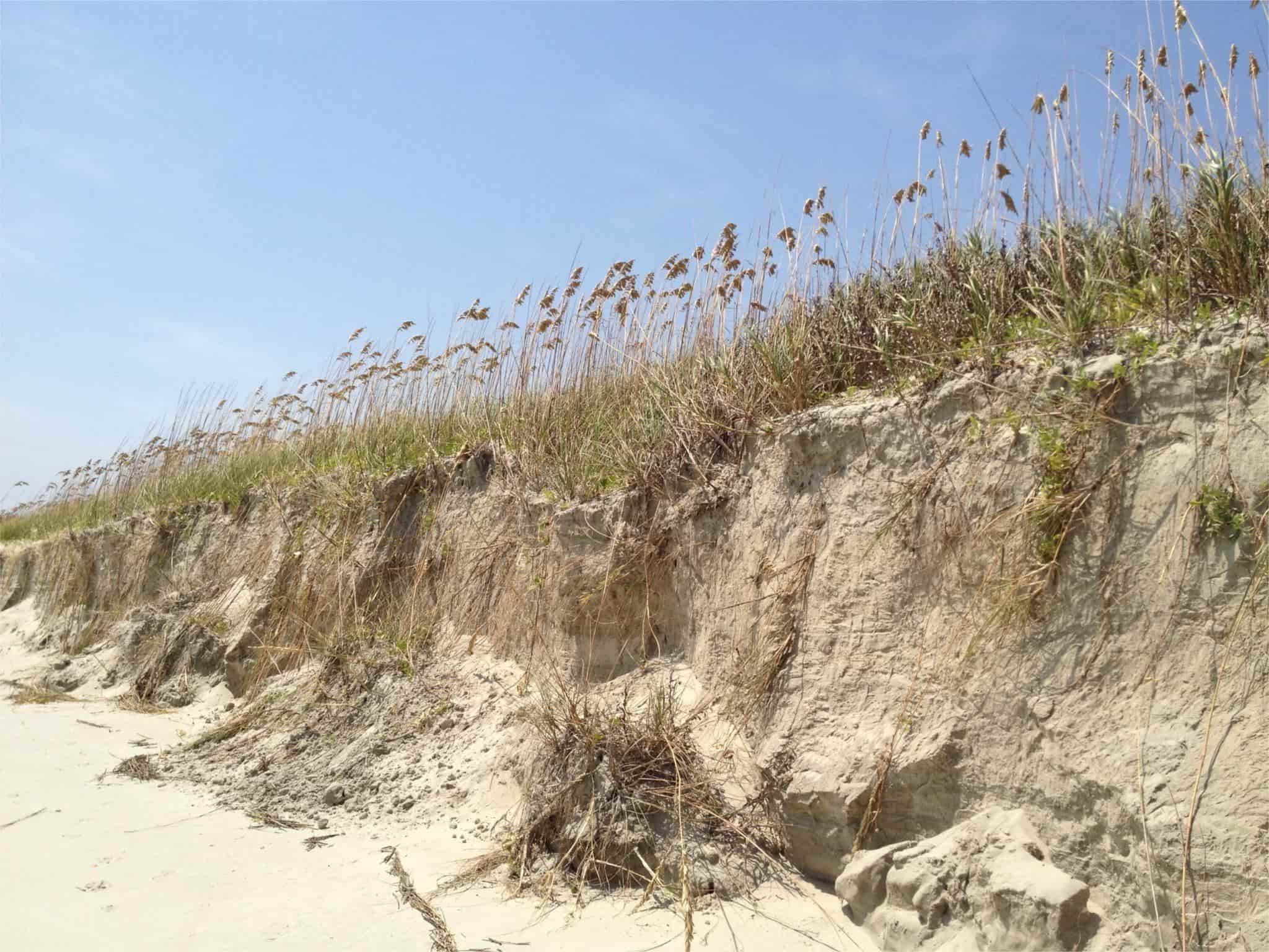 secrets-of-south-carolinas-alabaster-dunes