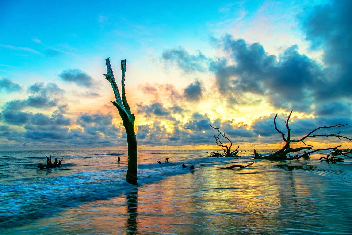 secrets-of-south-carolinas-cape-romain-maritime-forests