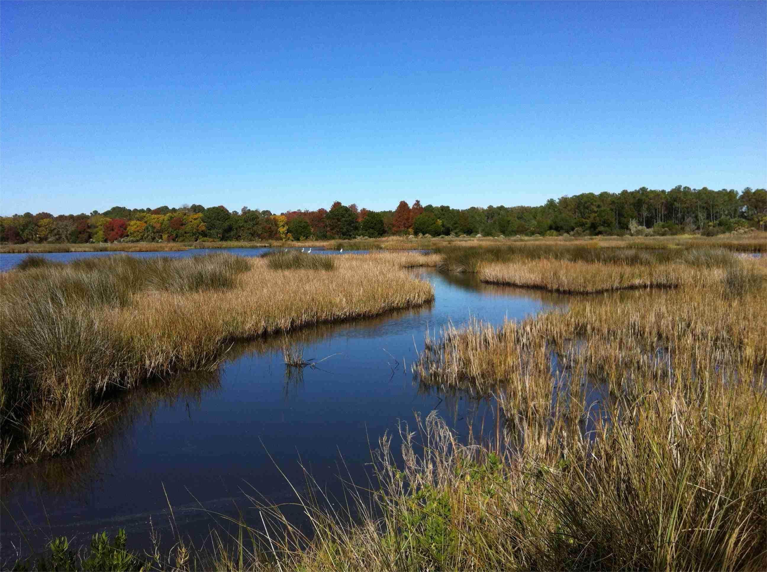 Secrets-Of-South-Carolina8217s-Emerald-Coastal-Marshlands secrets-of-south-carolinas-emerald-coastal-marshlands