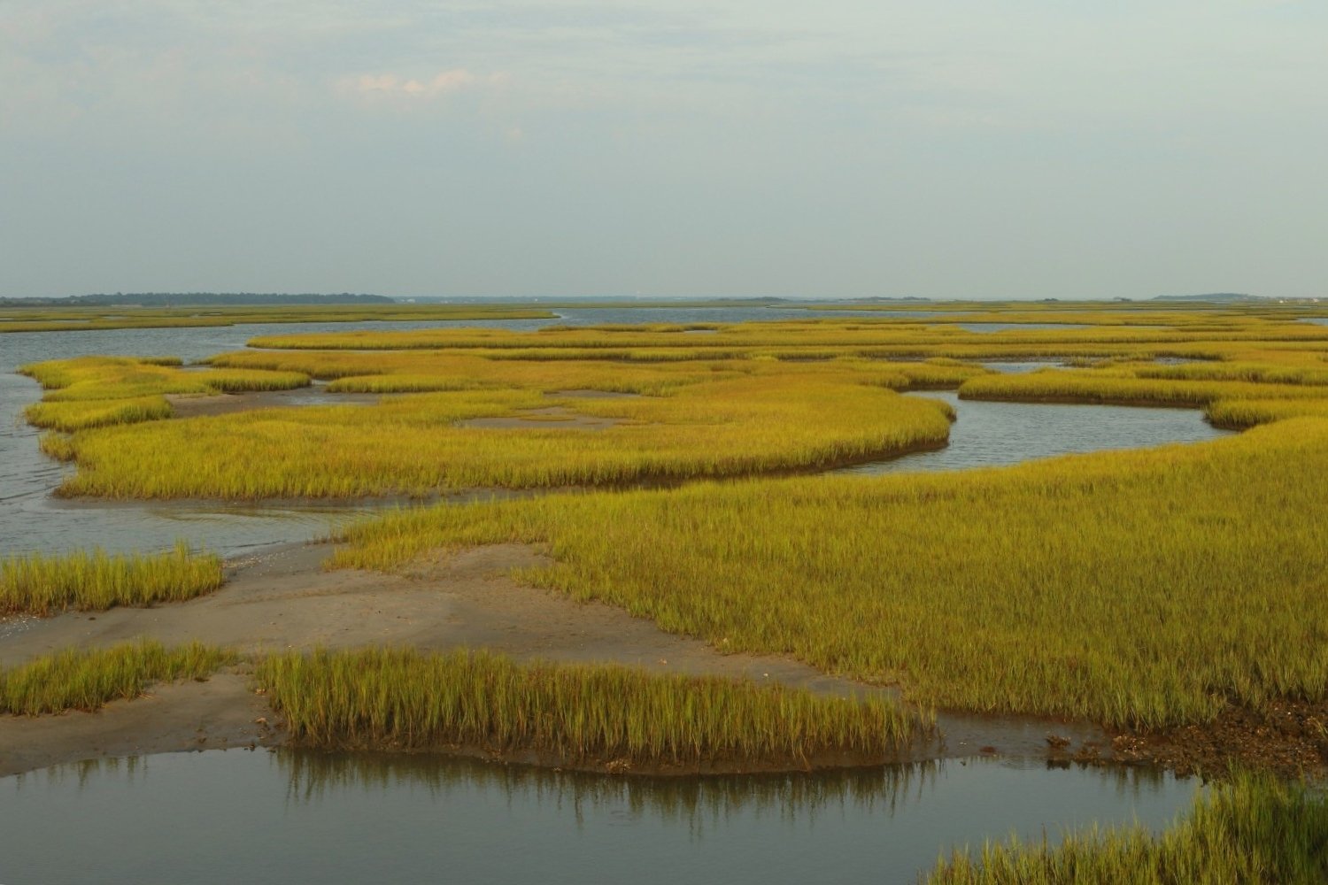 Secrets-Of-South-Carolina8217s-Emerald-Coastal-Salt-Marshes secrets-of-south-carolinas-emerald-coastal-salt-marshes