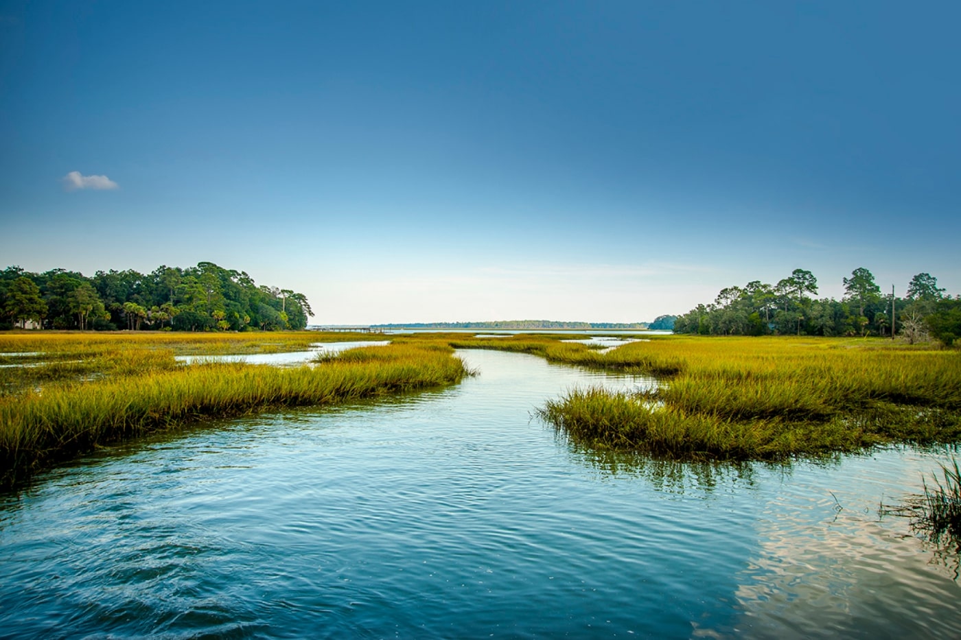 Secrets-Of-South-Carolina8217s-Shimmering-Tidal-Marshes secrets-of-south-carolinas-shimmering-tidal-marshes