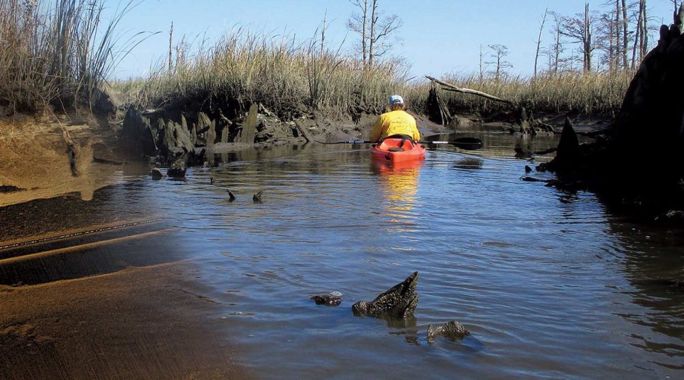 secrets-of-south-carolinas-sunken-rice-plantations
