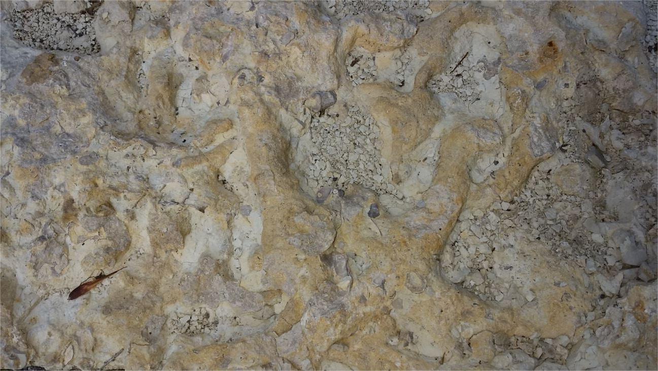 Secrets-Of-South-Dakota8217s-Ancient-Petrified-Sea-Beds secrets-of-south-dakotas-ancient-petrified-sea-beds
