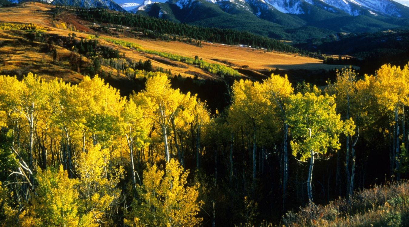 Secrets-Of-Sunburst-Mountain-Meadows-In-Montana8217s-Absaroka-Range secrets-of-sunburst-mountain-meadows-in-montanas-absaroka-range