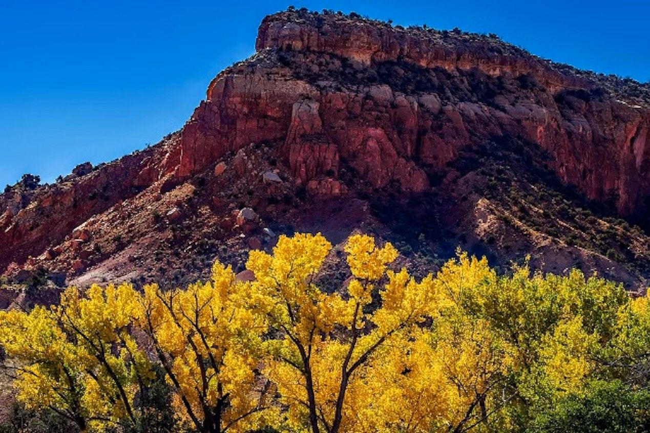 secrets-of-taos-wool-processing-cooperatives