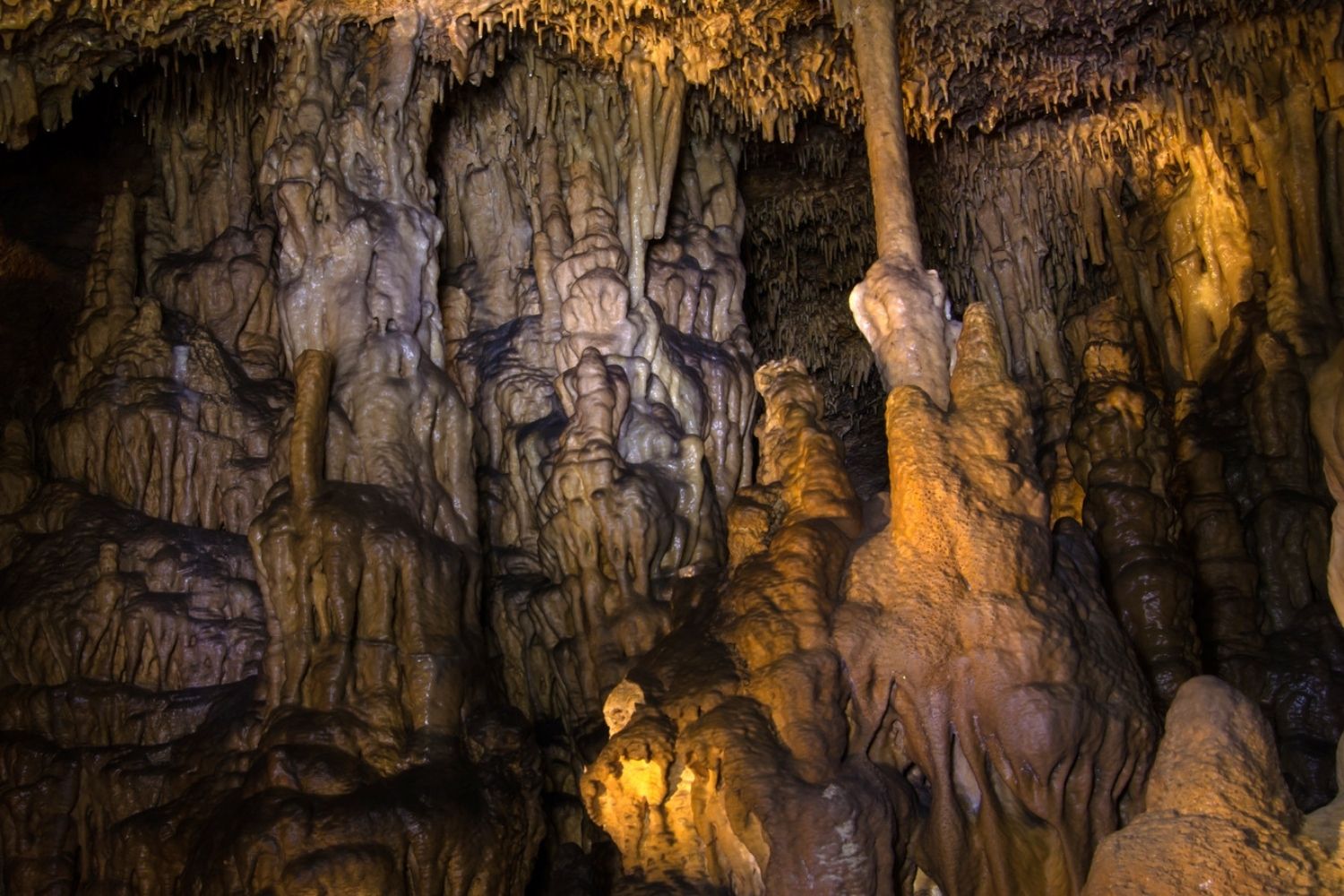 secrets-of-tennessees-cumberland-caverns-bat-caves