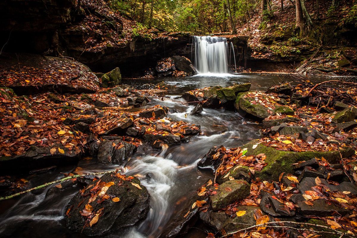 secrets-of-tennessees-fiery-gizzard-streams