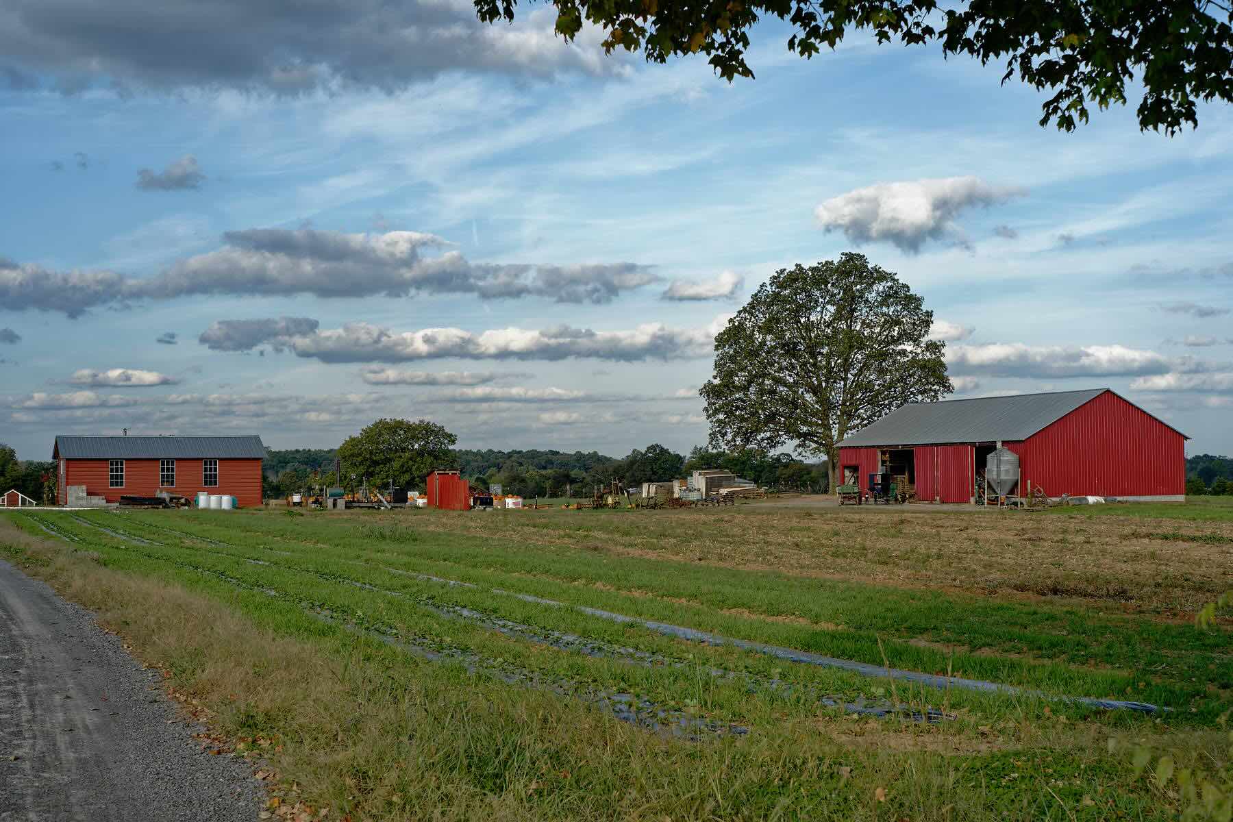 secrets-of-tennessees-mennonite-sinkhole-plains