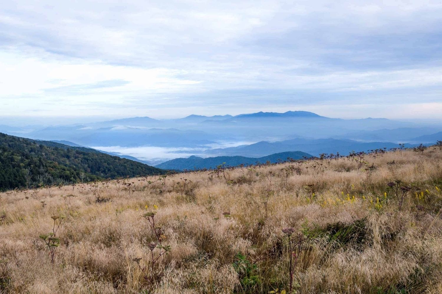 secrets-of-tennessees-mist-covered-mountain-balds