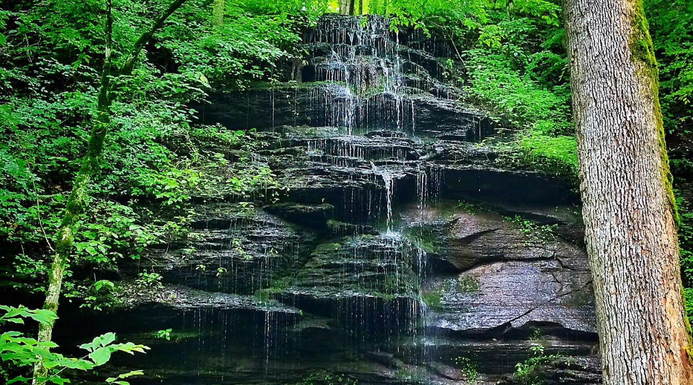 secrets-of-tennessees-natchez-trace-river-crossings