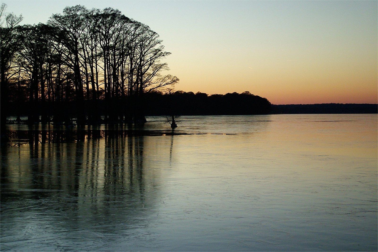 secrets-of-tennessees-reelfoot-lake-islands