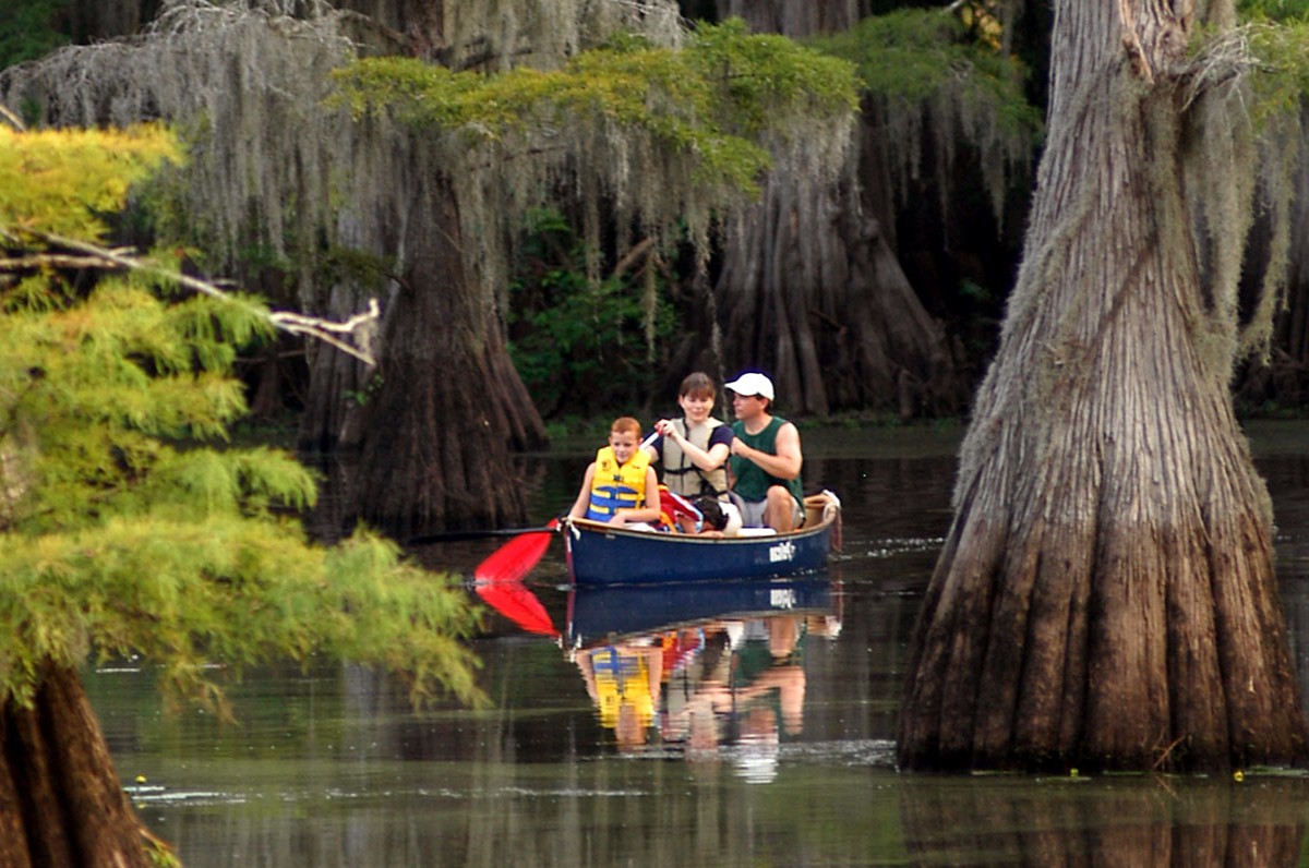 Secrets-Of-Texas8217s-Caddo-Lake-Cypress-Forests secrets-of-texass-caddo-lake-cypress-forests