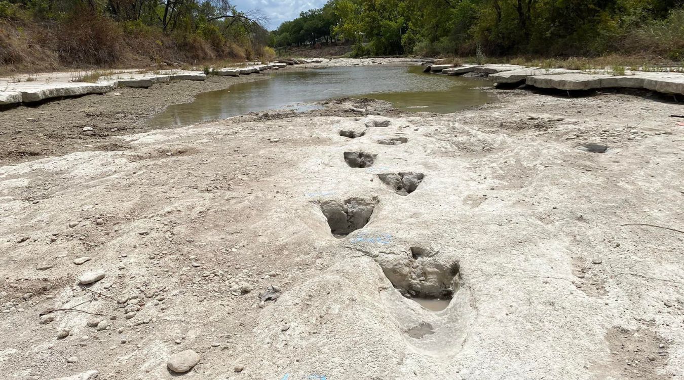 secrets-of-texass-dinosaur-valley-track-sites