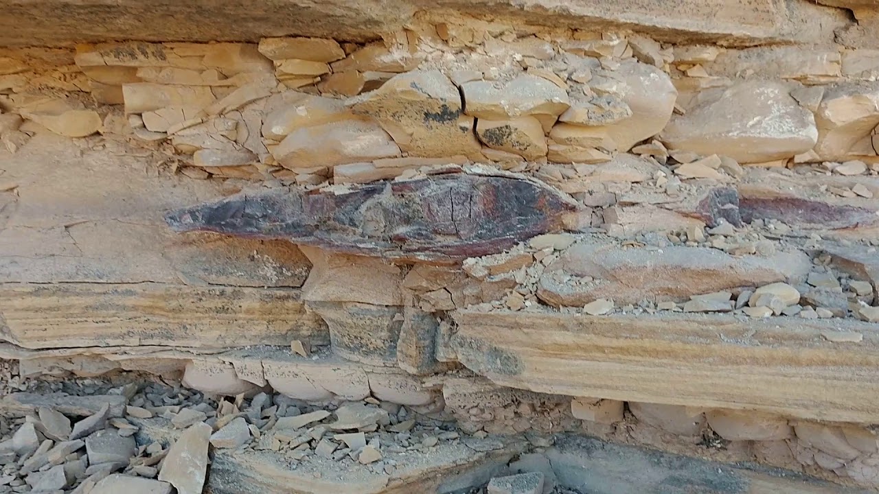 Secrets-Of-Texas8217s-Fossilized-Limestone-Reefs secrets-of-texass-fossilized-limestone-reefs