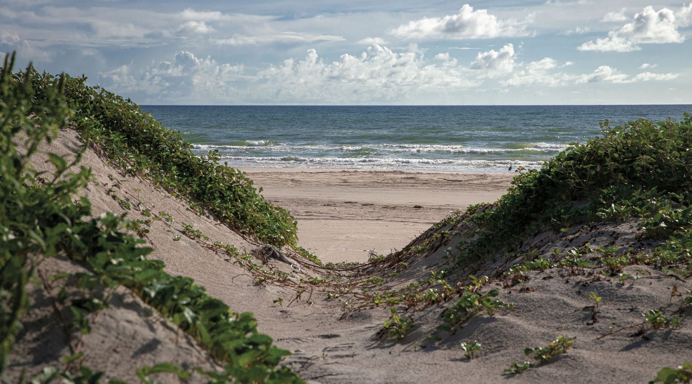 secrets-of-texass-padre-island-national-seashore