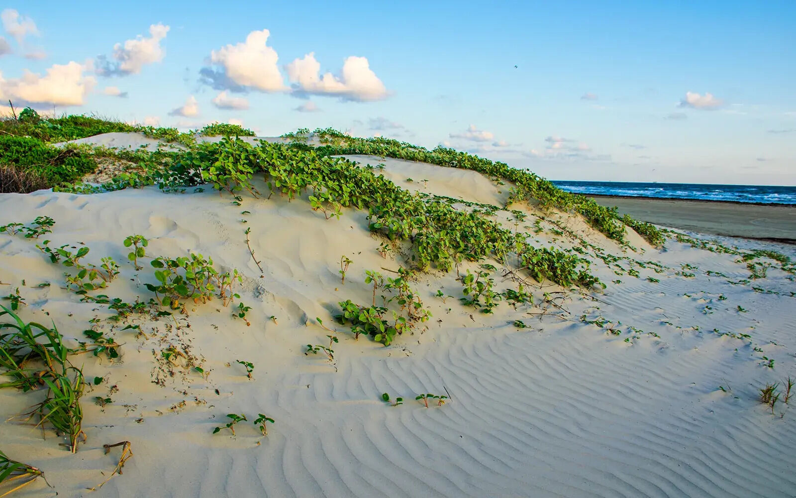 Secrets-Of-Texas8217s-Padre-Island-National-Seashore-Barrier-Islands secrets-of-texass-padre-island-national-seashore-barrier-islands