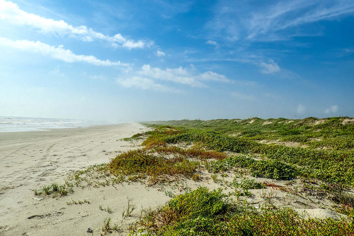 Secrets-Of-Texas8217s-Padre-Island-Preserves secrets-of-texass-padre-island-preserves